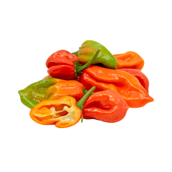 aji-gustoso